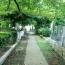 20130809-a0002_000581.jpg 20130809-a0002_000581.jpg