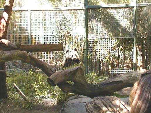 Sandiego Zoo CA