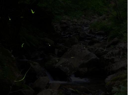 alt=""title="" alt=""title=""